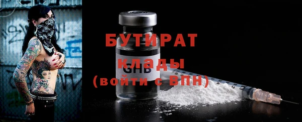 индика Горнозаводск