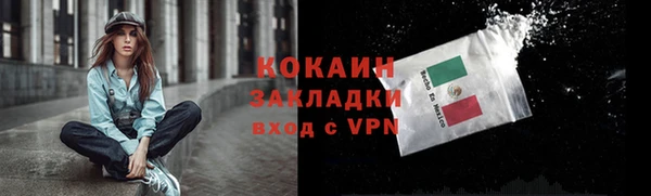 крисы Вяземский