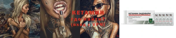 крисы Вяземский