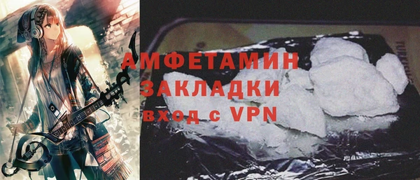 индика Горнозаводск